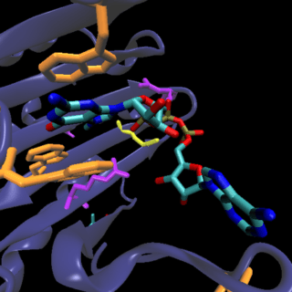 Structural Biochemistry