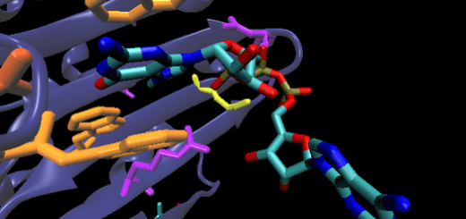 Structural Biochemistry