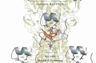 Essentials of Glycobiology by Ajit Varki, et al