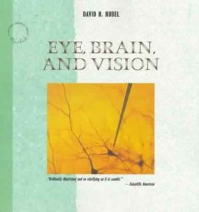 Eye, Brain, and Vision by David H. Hubel