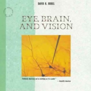 Eye, Brain, and Vision by David H. Hubel