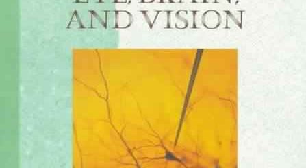Eye, Brain, and Vision by David H. Hubel