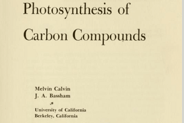 The Photosynthesis of Carbon Compounds  by Melvin Calvin, James Alan Bassham
