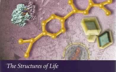 The Structures of Life