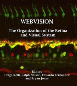 Webvision: The Organization of the Retina and Visual System  by H. Kolb, E. Fernandez, R. Nelson