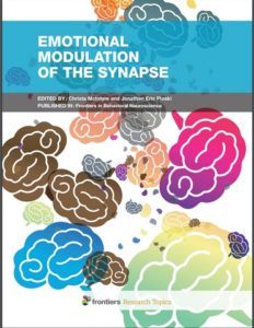 Emotional Modulation of the Synapse  by Christa McIntyre, Jonathan Eric Ploski