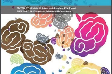 Emotional Modulation of the Synapse  by Christa McIntyre, Jonathan Eric Ploski