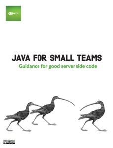 Java for Small Teams  by Henry Coles, et al.