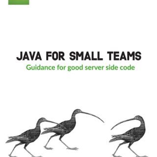 Java for Small Teams  by Henry Coles, et al.