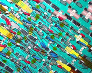 By Jack Keene from Oak Cliff, Texas, USA. (Flickr) [CC BY 2.0 (http://creativecommons.org/licenses/by/2.0)], via Wikimedia Commons