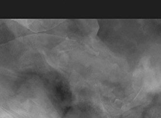 Minimal Ethics for the Anthropocene by Joanna Zylinska