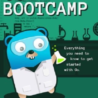 Go Bootcamp by Matt Aimonetti book free