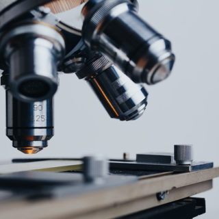 Free Biomedical Engineering Courses