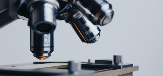 Free Biomedical Engineering Courses