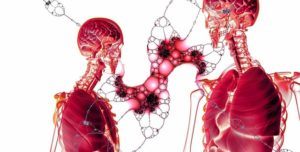 Free Anatomy and Physiology Courses
