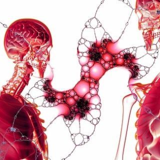 Free Anatomy and Physiology Courses