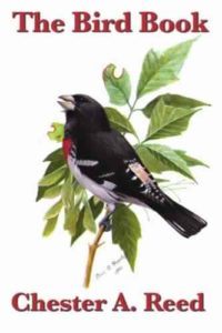 The Bird Book by Chester A. Reed Top Free Books