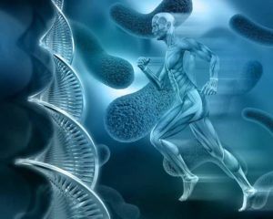 Free Courses online : Anatomy and Physiology