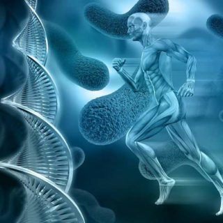 Free Courses online : Anatomy and Physiology