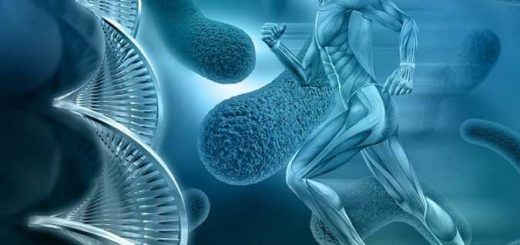Free Courses online : Anatomy and Physiology