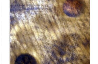 Semiconductor Devices: Theory and Application by James M. Fiore top free books