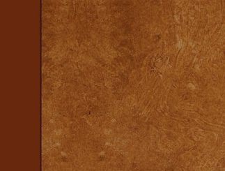 Probability and Theory of Errors by Robert Simpson Woodward