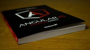 Best free Angular.JS Programming Books by pixbay.com under CC