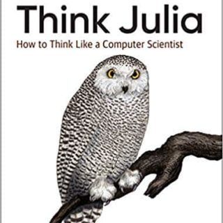 Think Julia