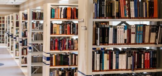 A Beginner's Guide to Downloading Books for Free