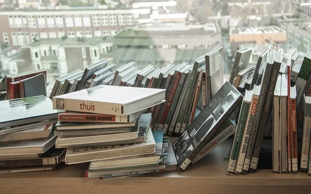 Used Books and Cheap Books in 2025 The Future of Affordable Reading